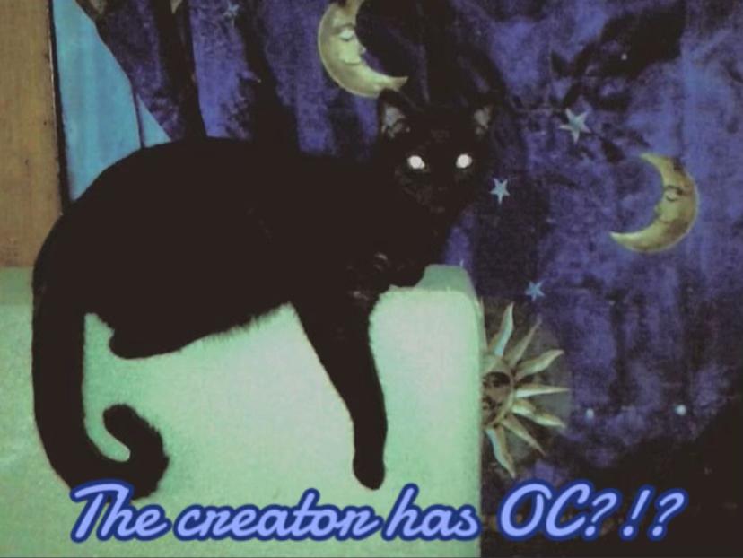 @~✯✿ℳ&rsquo;𝒬𝒰ℰ ℛℰ𝒜ℒℳ✿✯~