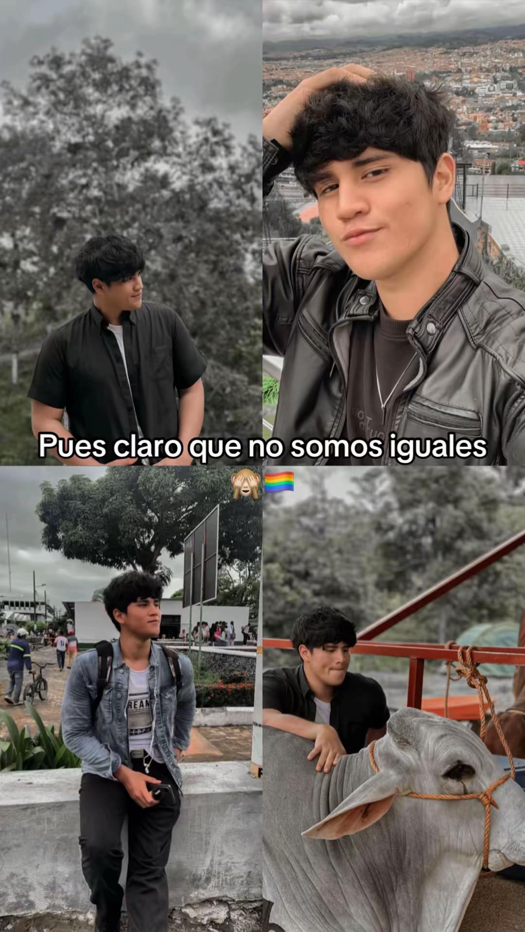 @José Rivadeneira 🦁