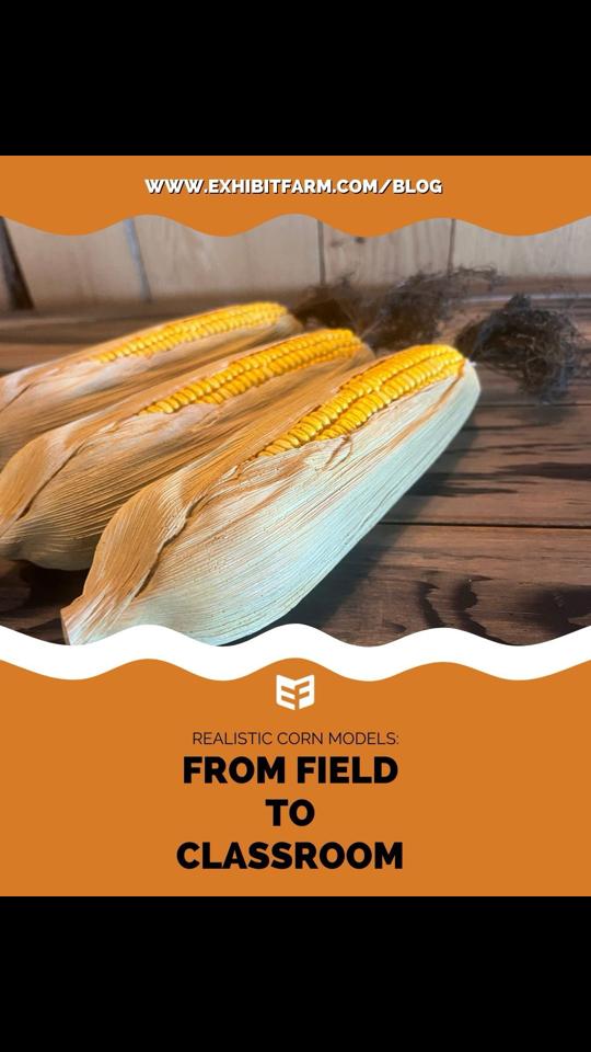 @Exhibitfarm
