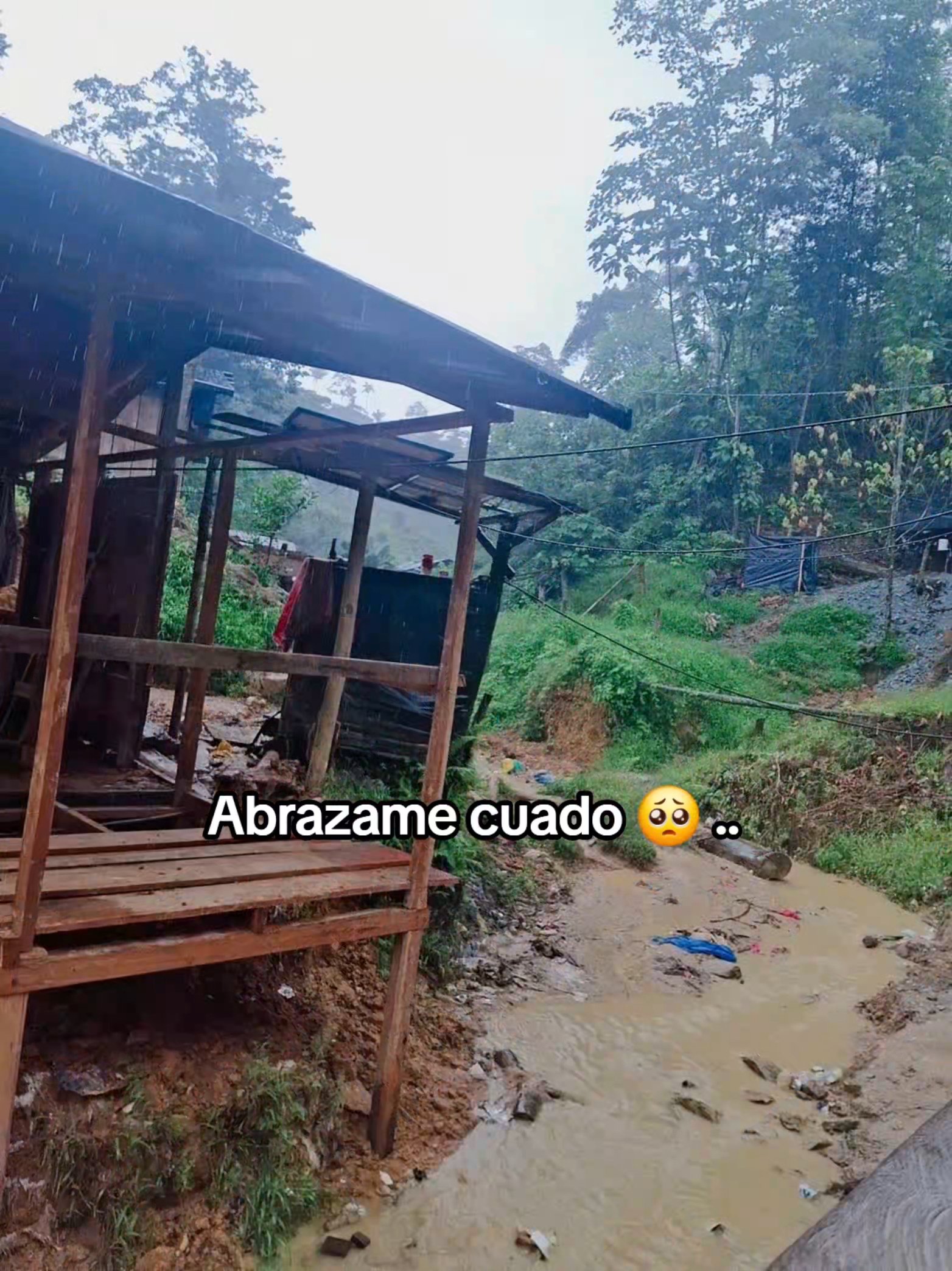 @gemelo Lopez 🥰