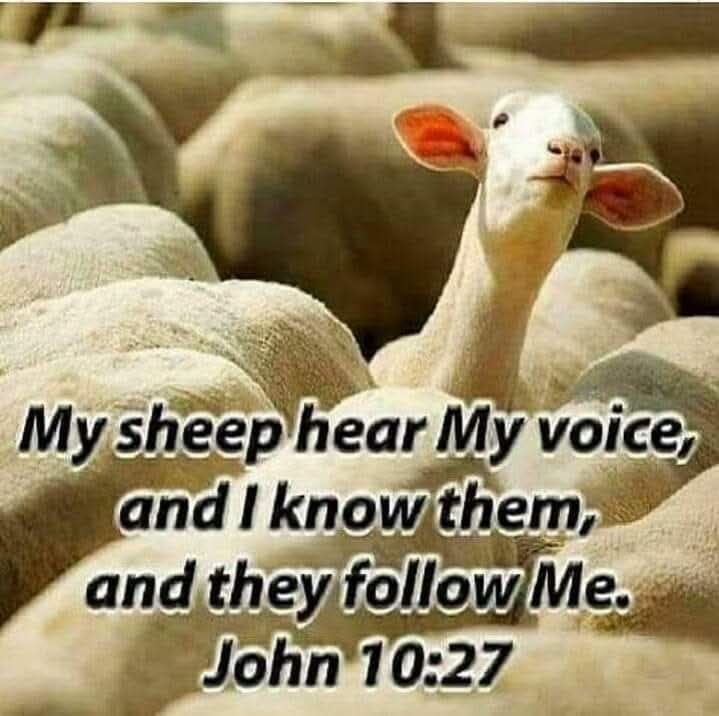 @Jesus Saves