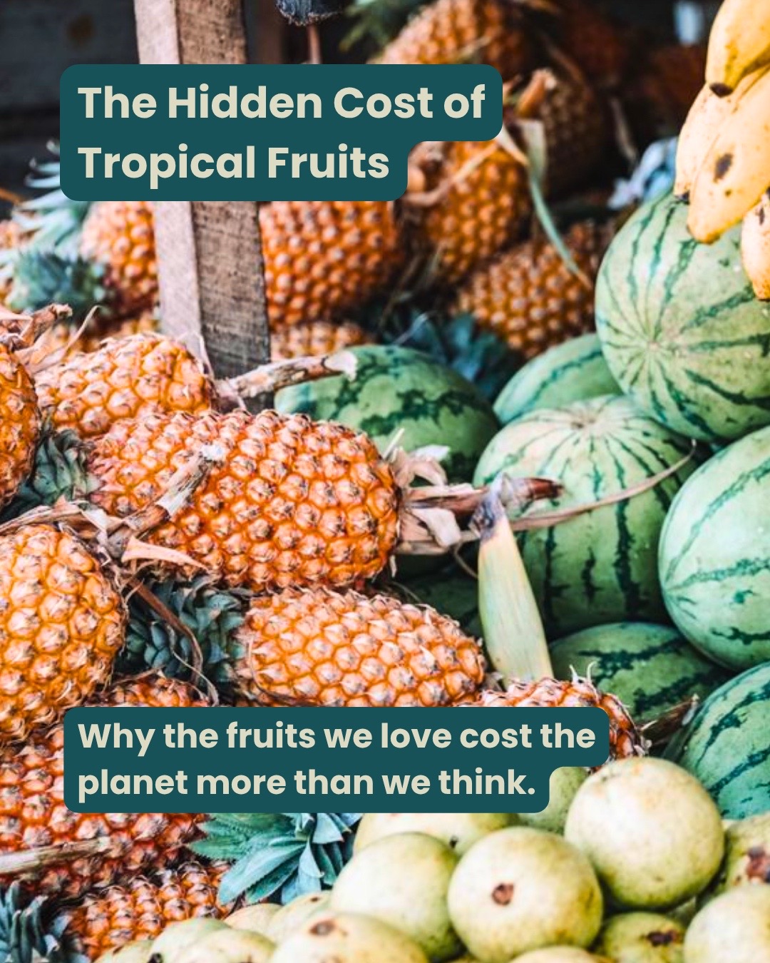 @The Rainforest Alliance