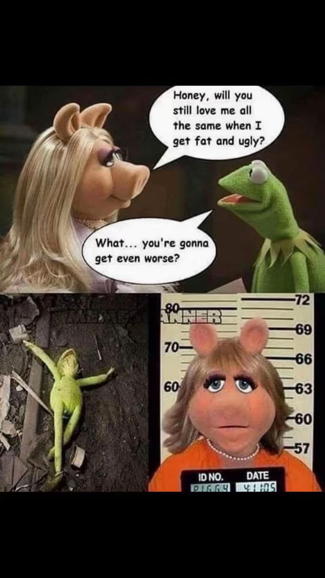 @ShaneH63