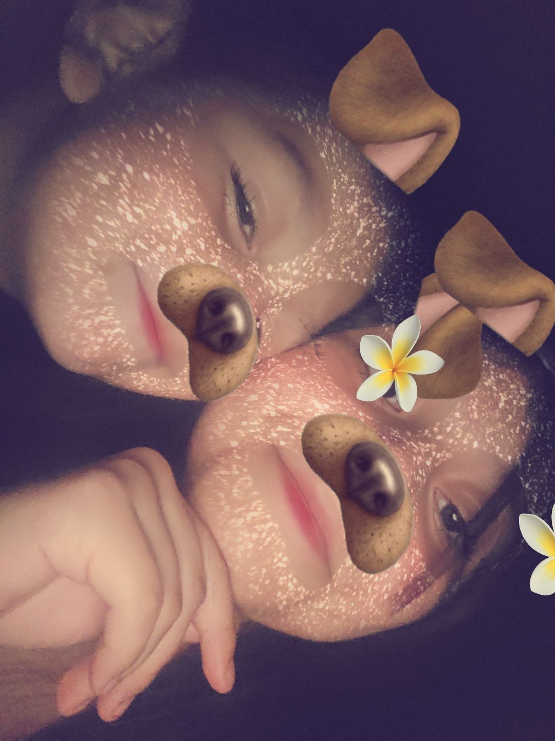 @✨️♡☆~𝔐𝔬𝔫𝔱𝔰𝔢~☆♡✨️