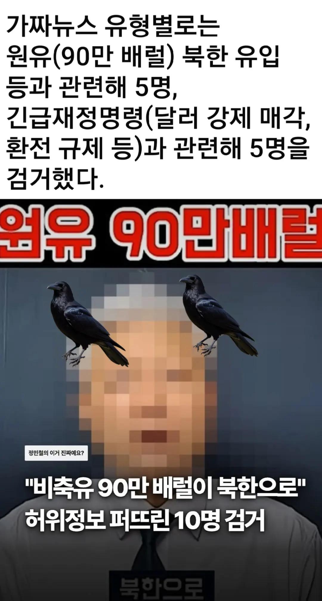 @🌺시라소니[본]🌺