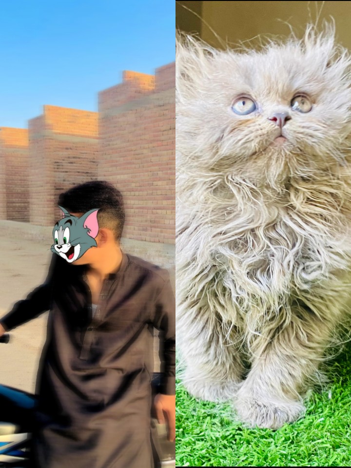 @๛ف ض ل 🚩