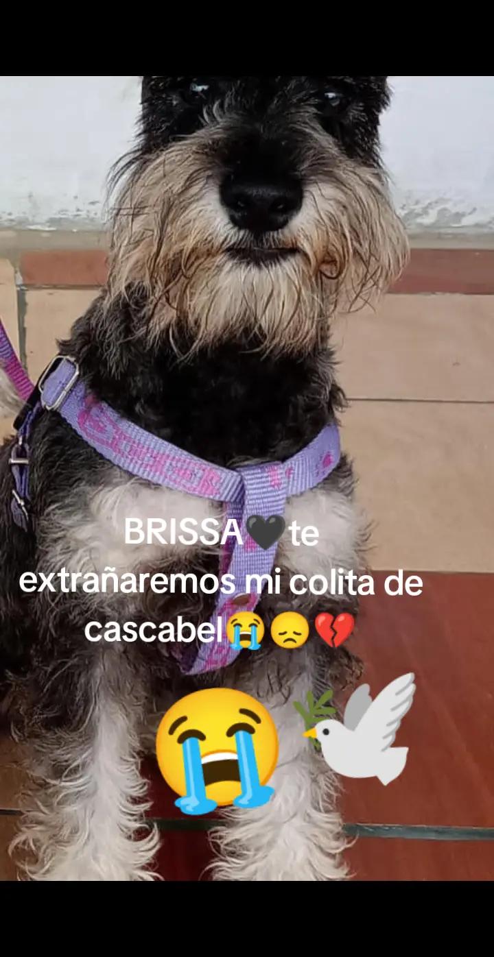 @carmen cuya😝