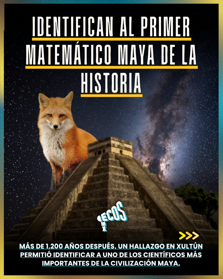@ECOS Media Mx
