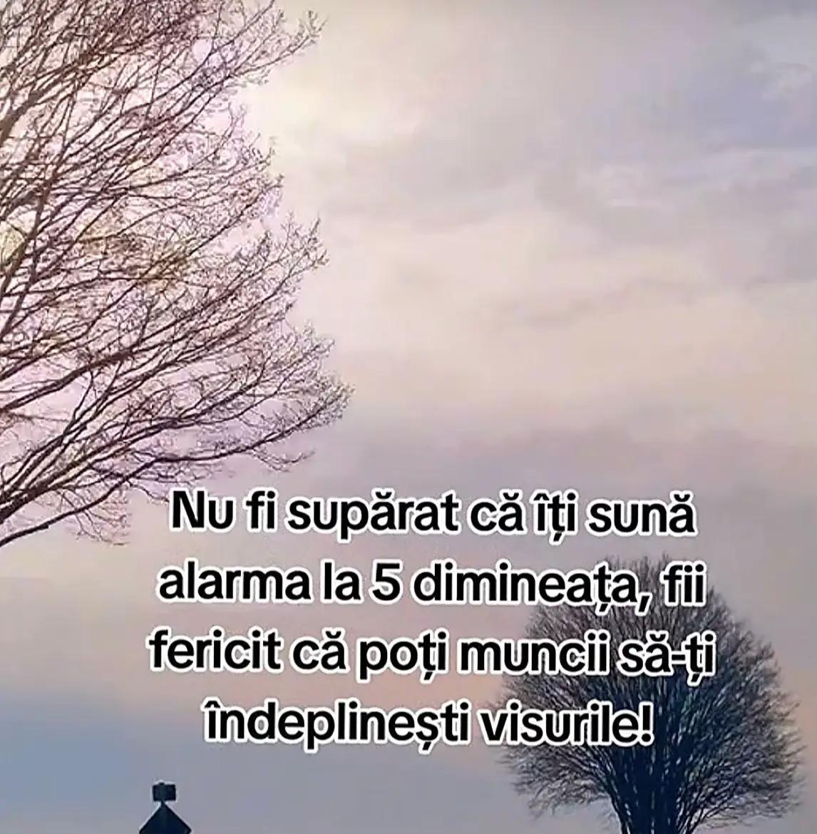 @Seby._.crețu19