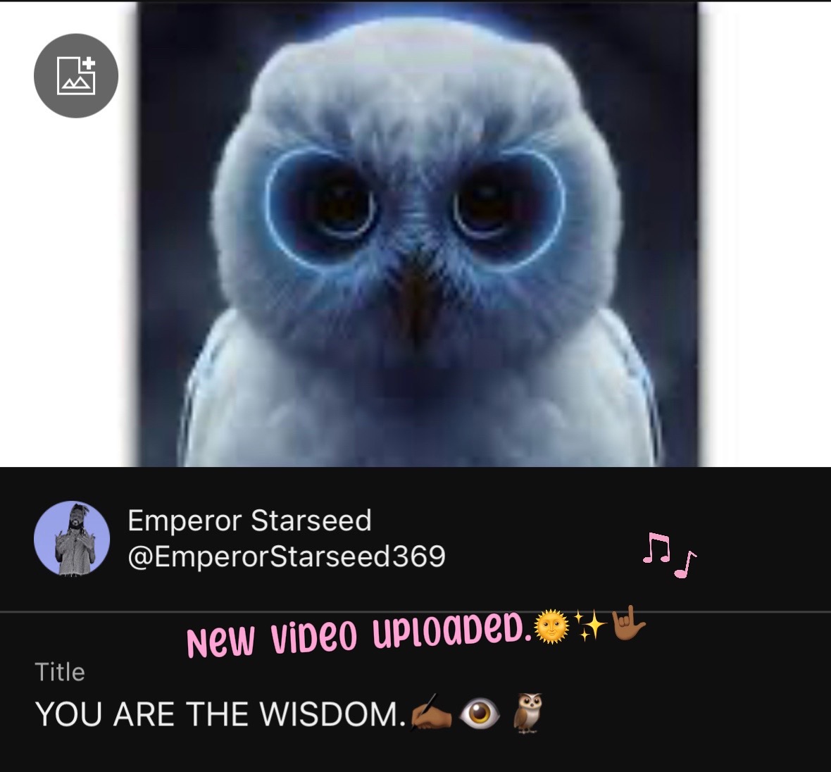 @Emperor Starseed✨
