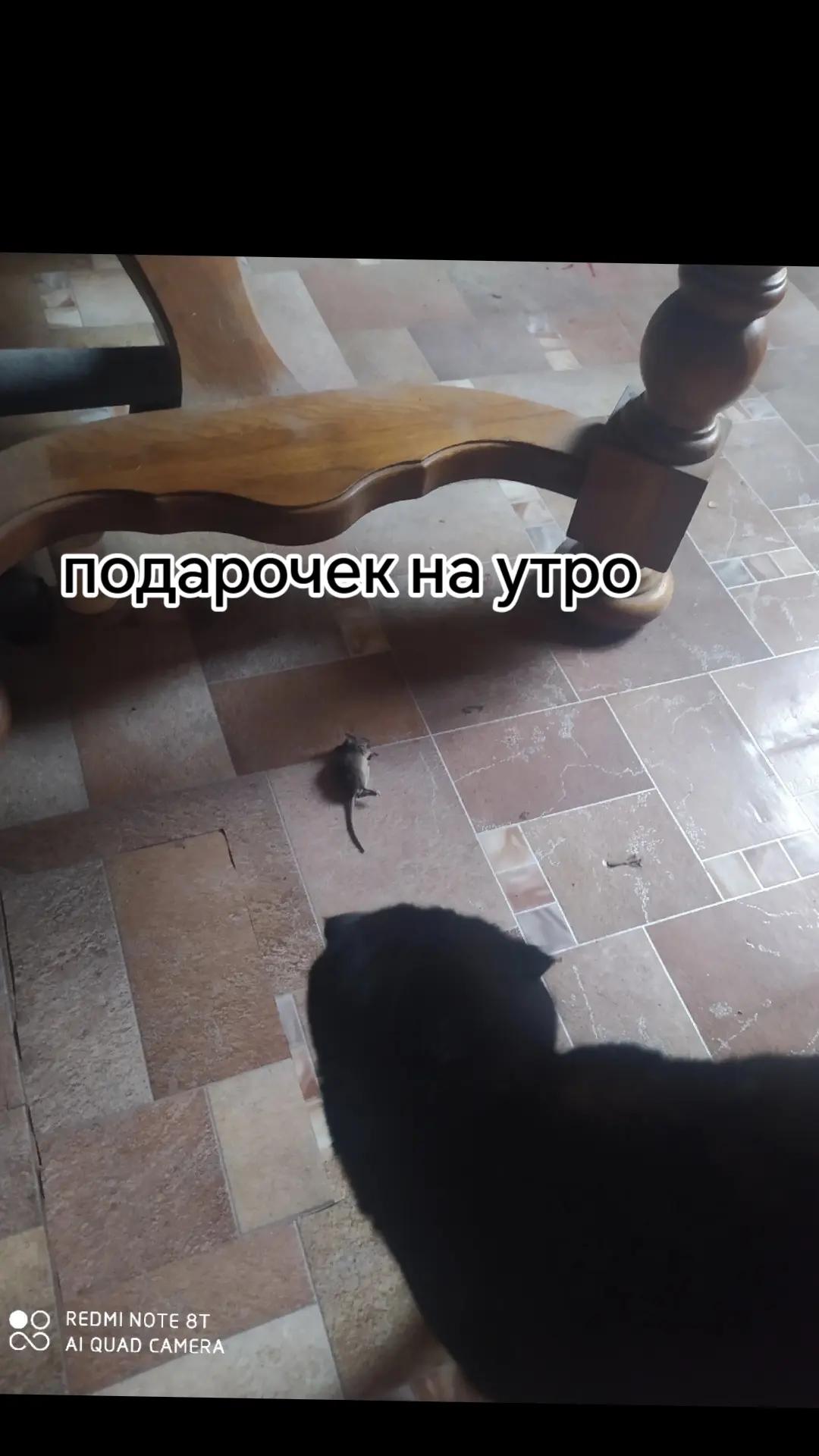 @Мастер