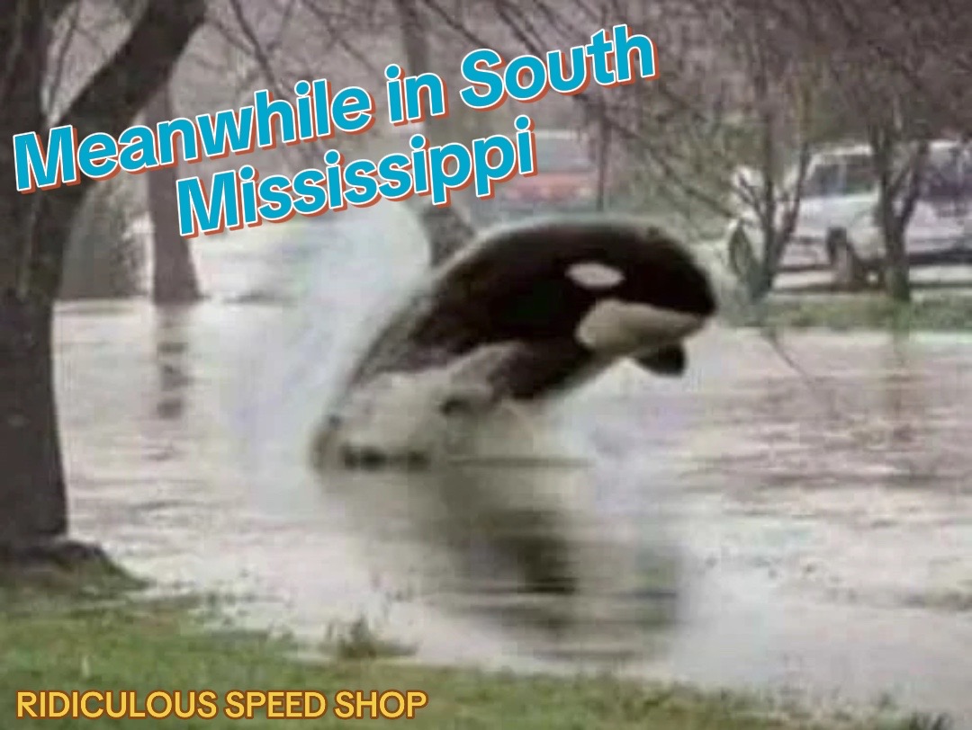 @RIDICULOUS SPEED SHOP