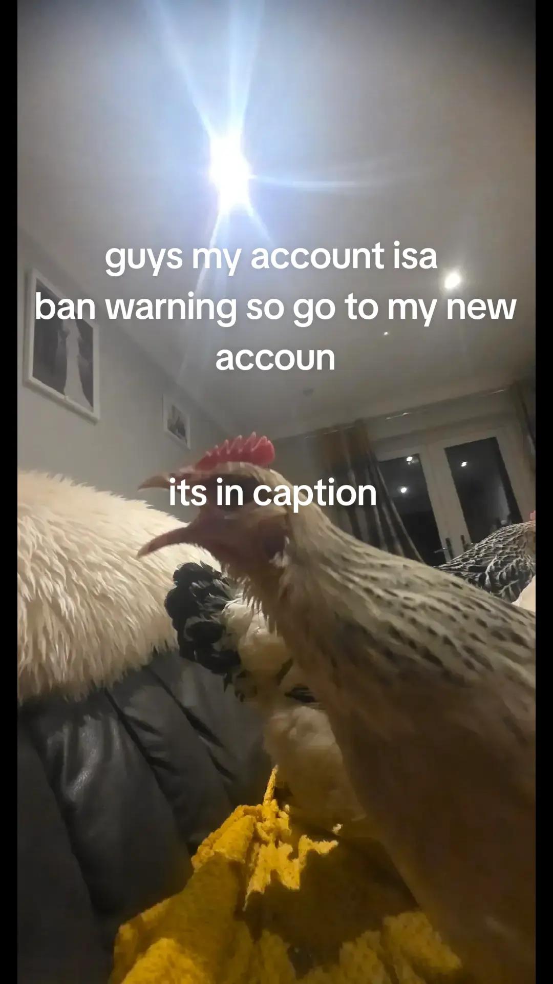 @Cail.Snail08
