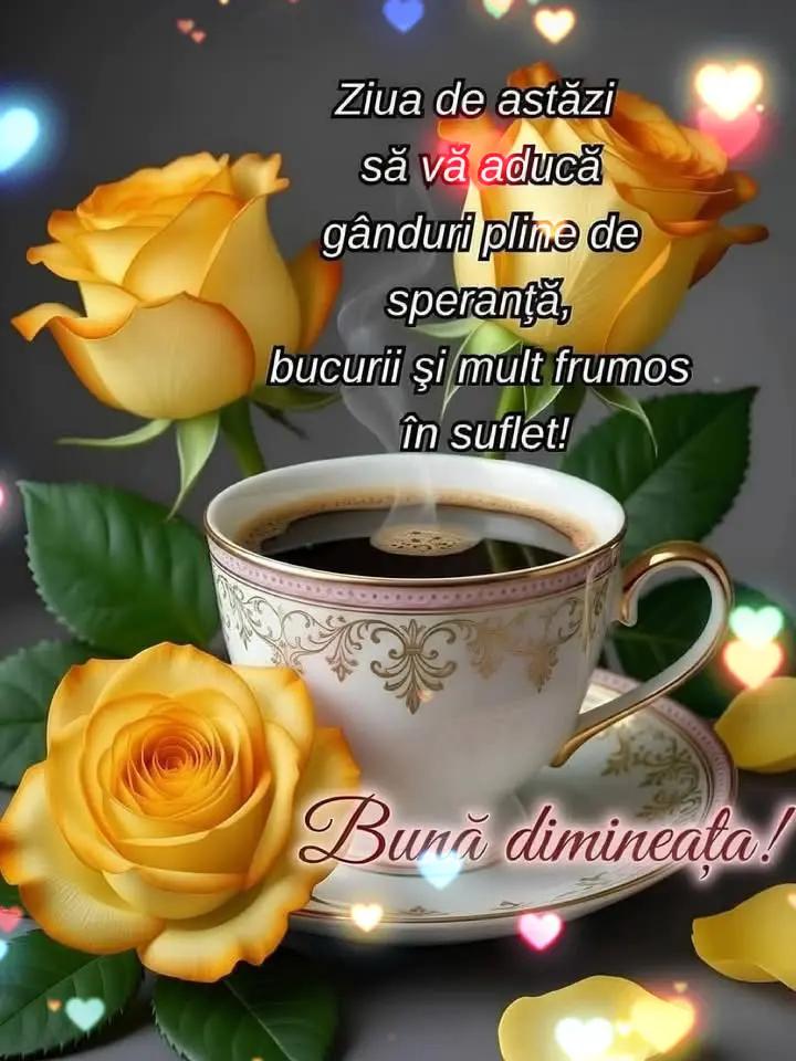 @Nicolae Iamandi