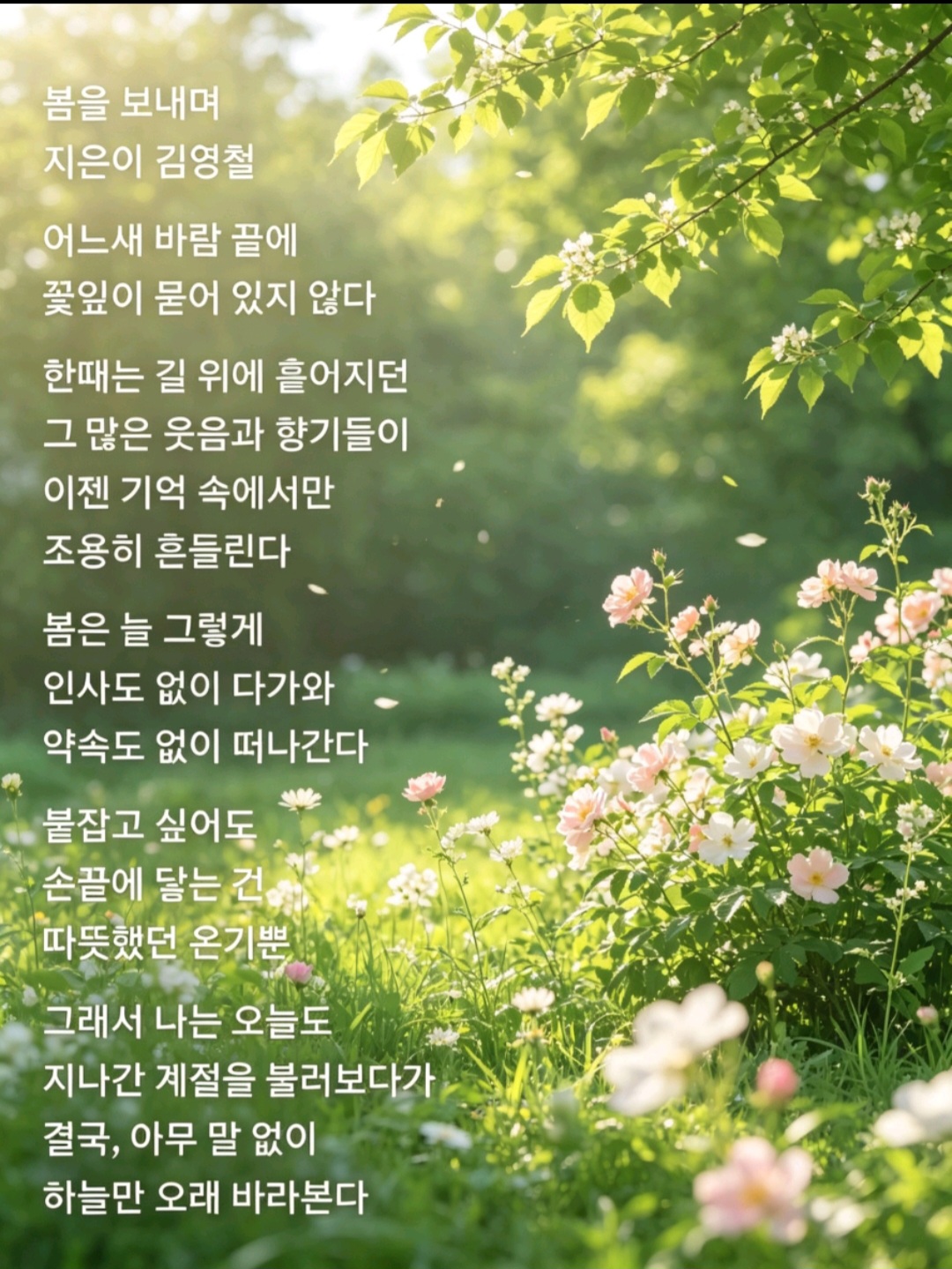 @🍊김영철🍊