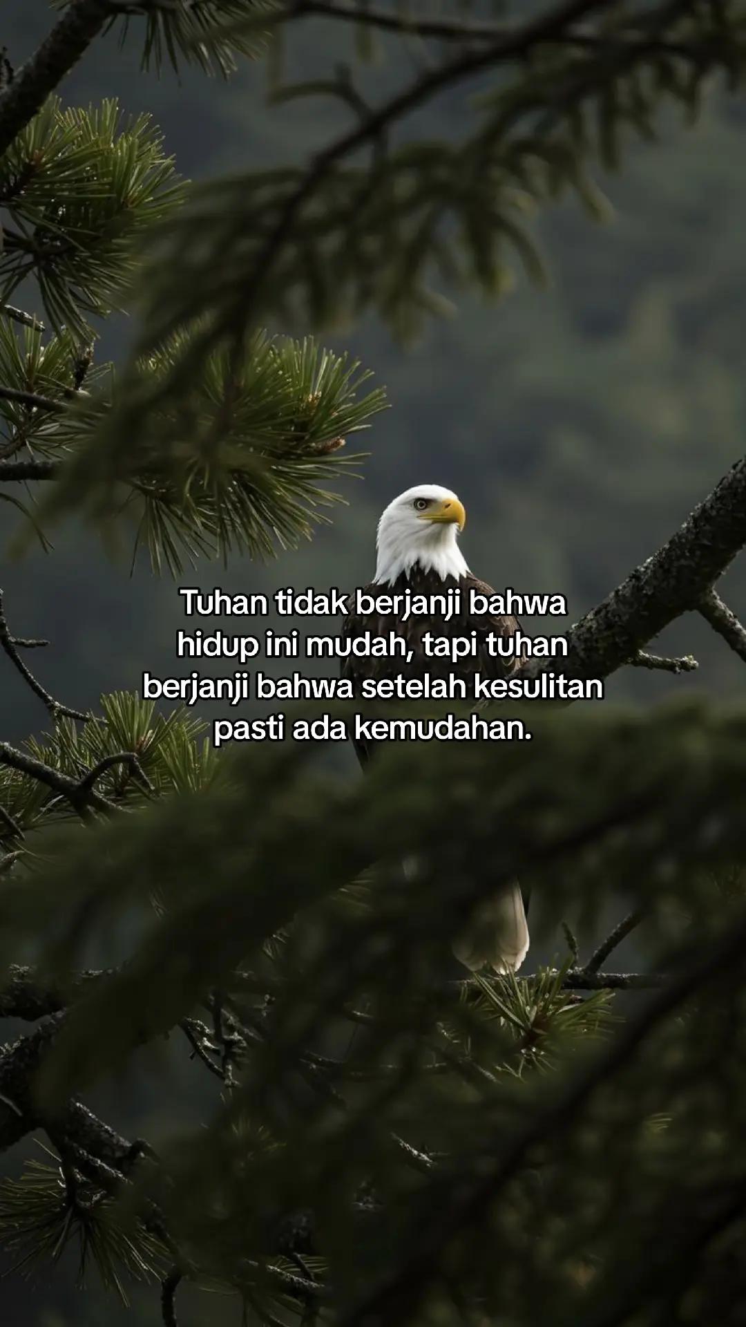 @wisnu23