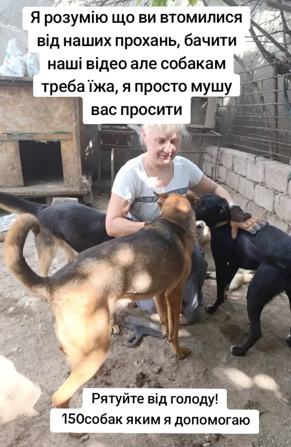 @tvarinkidobra