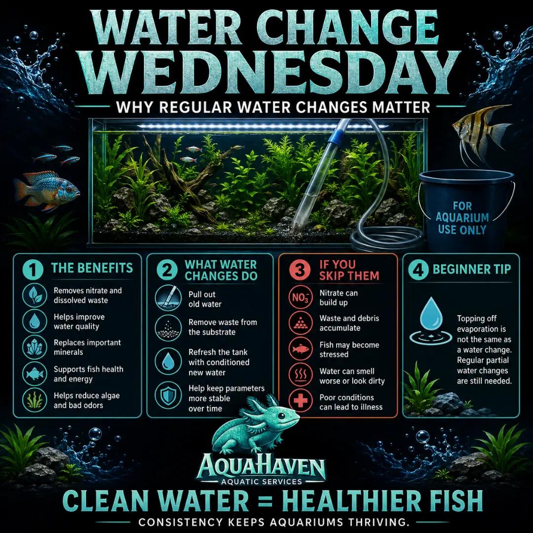 @AquaHaven™️🐠🌌🌊
