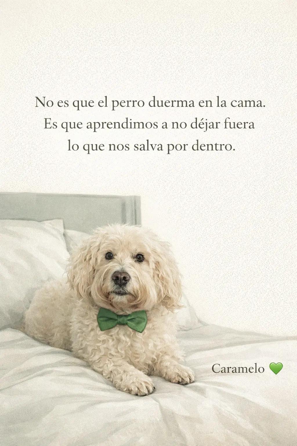 @Rubiela Psicología