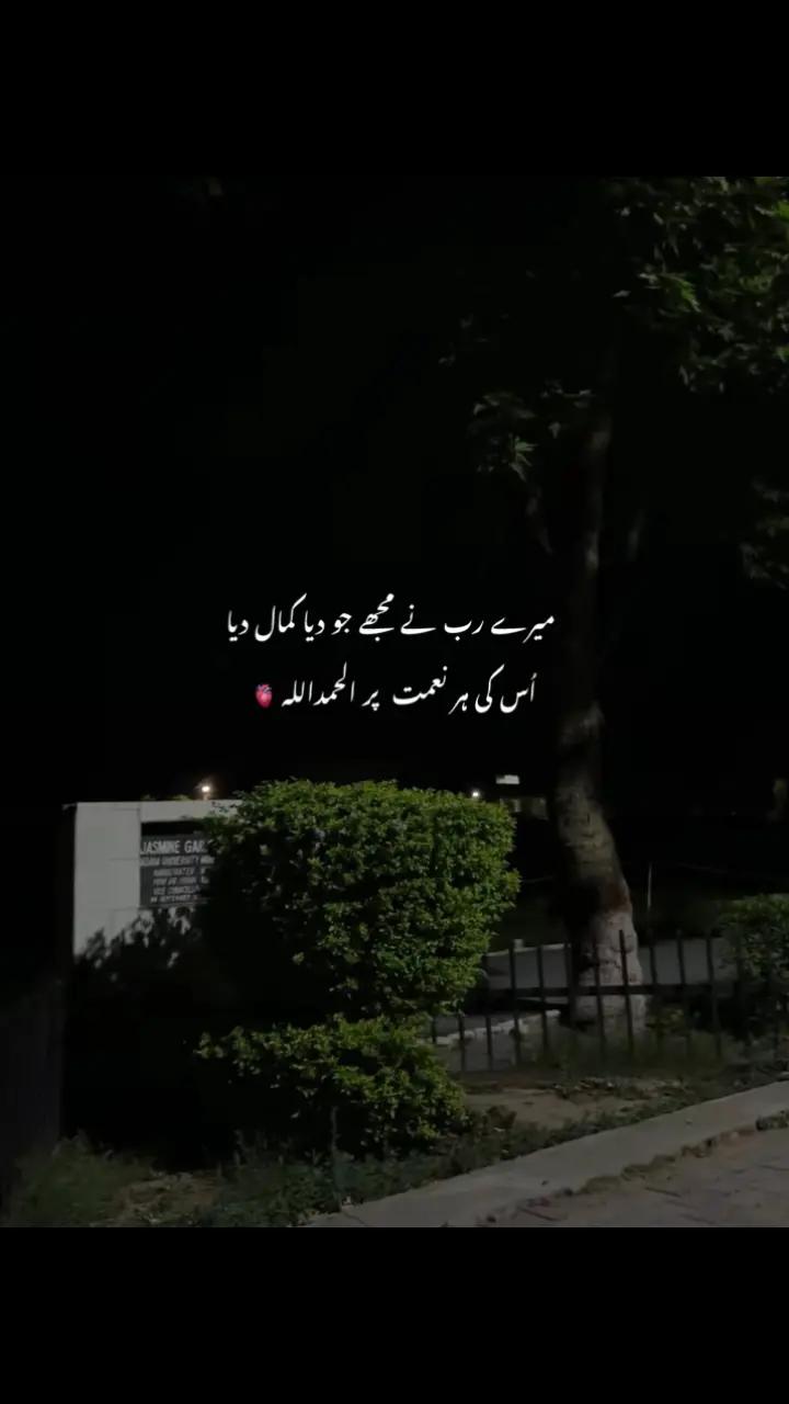 @𝑯𝒂ل𝒂𝒍_𝑫𝒖ڈ𝒆🕋🫠🌸