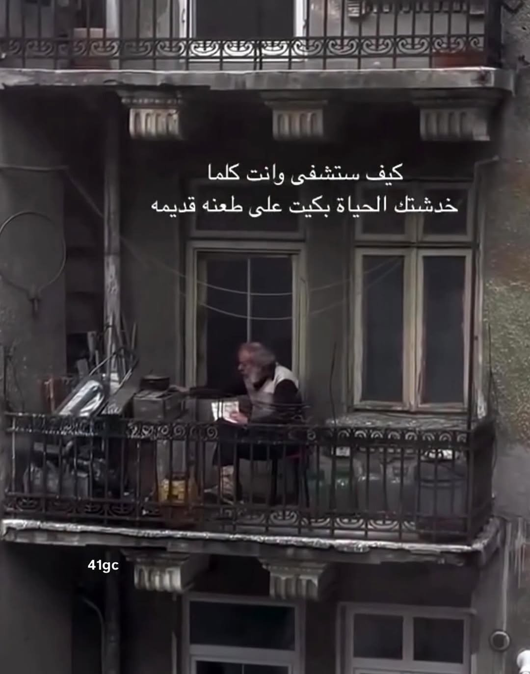 @Nermeen Tarek