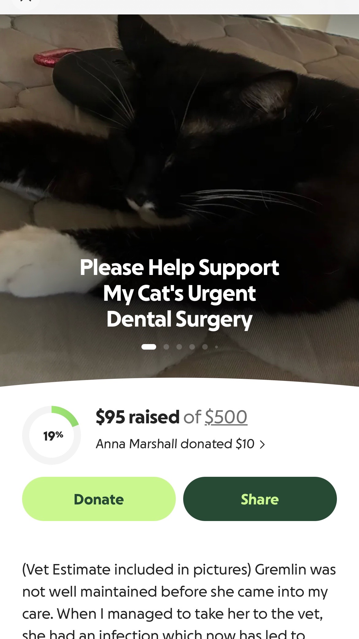 @Gremlin_Fundraiser