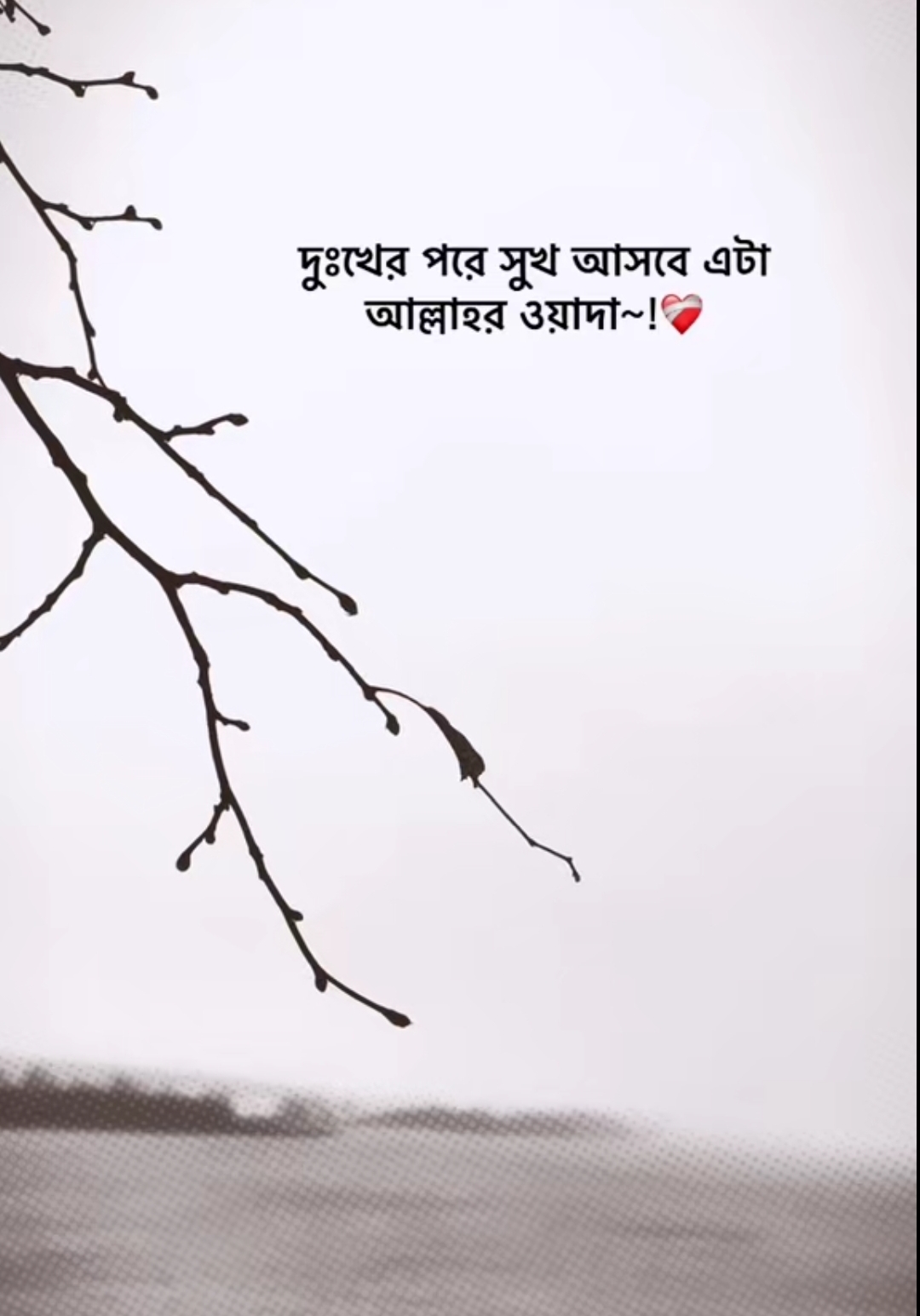 @Mohammad Ullah