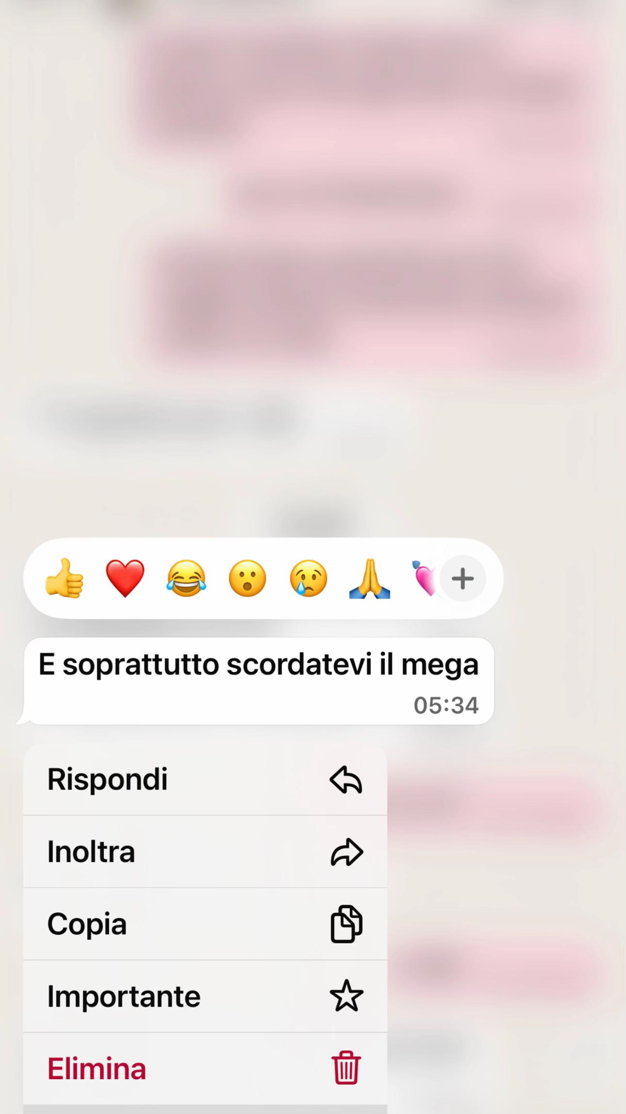 @gretaspadaa