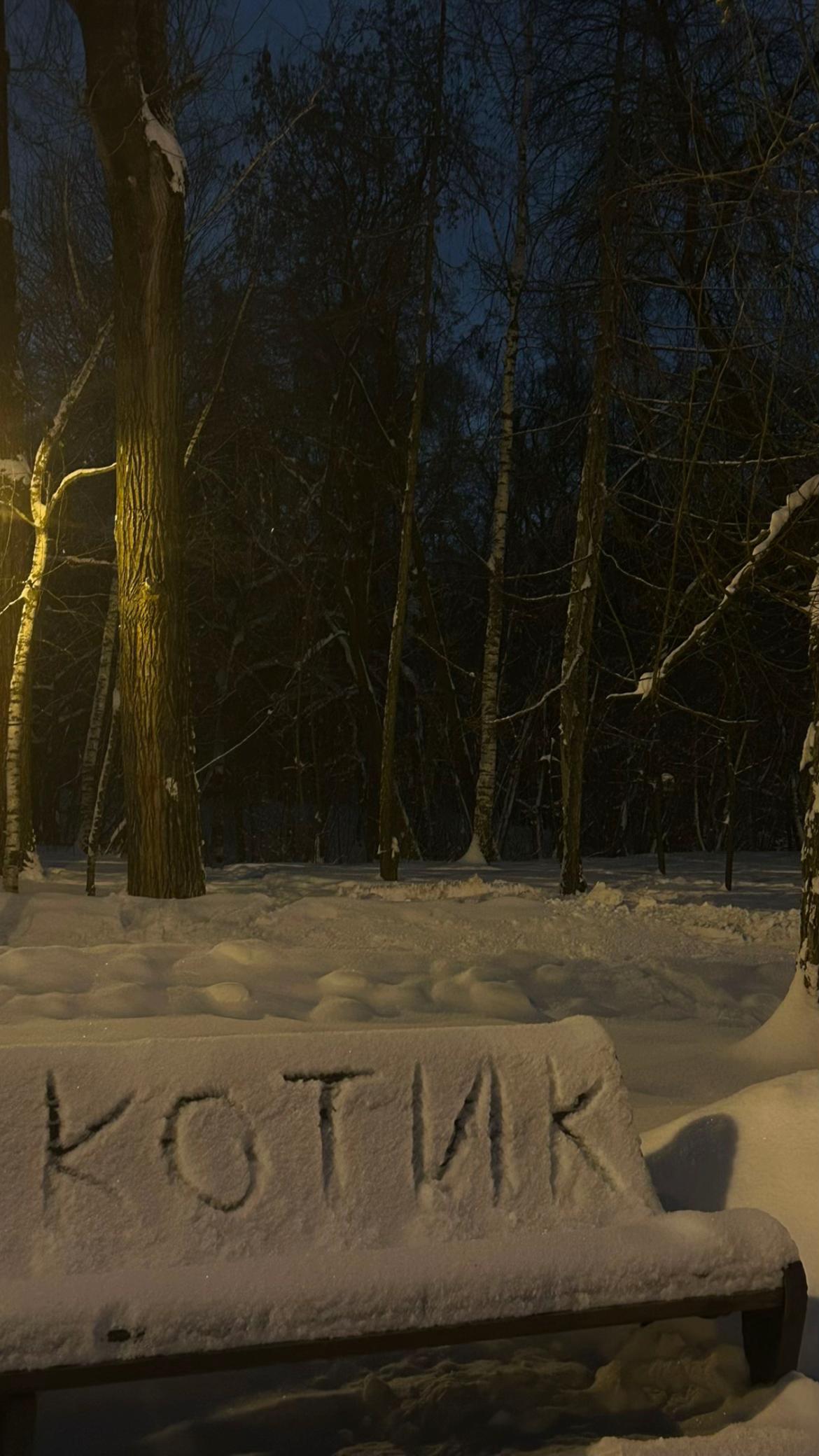 @эмилешка
