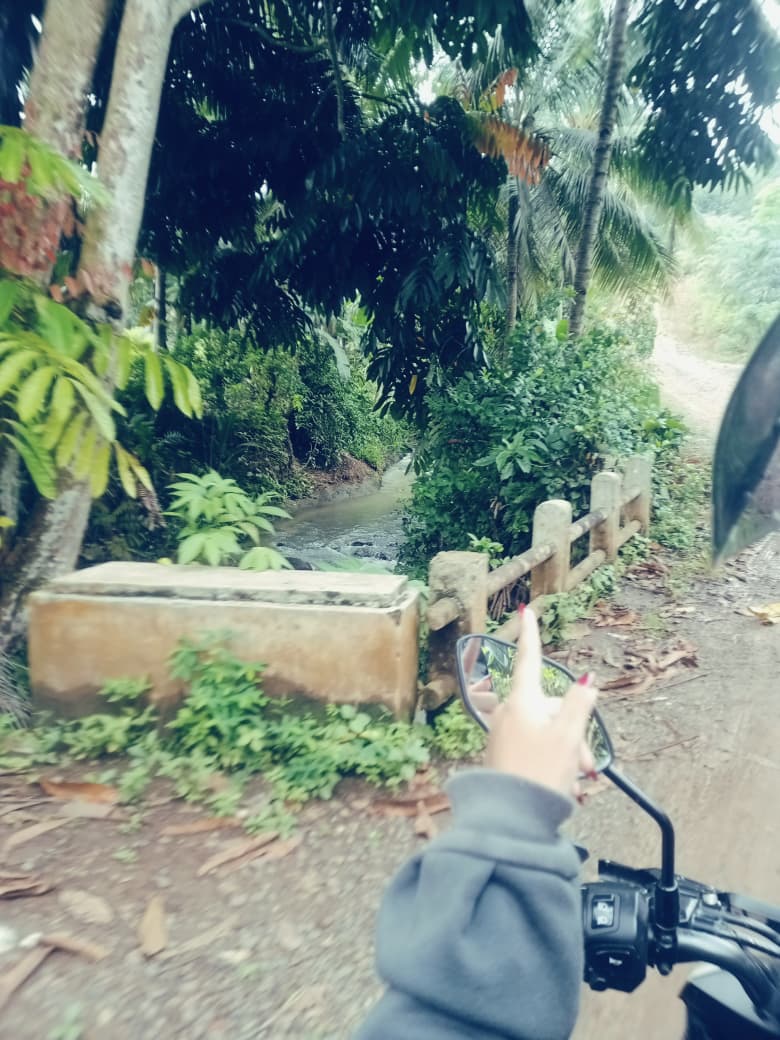 @wiwid🍃🤏🏼
