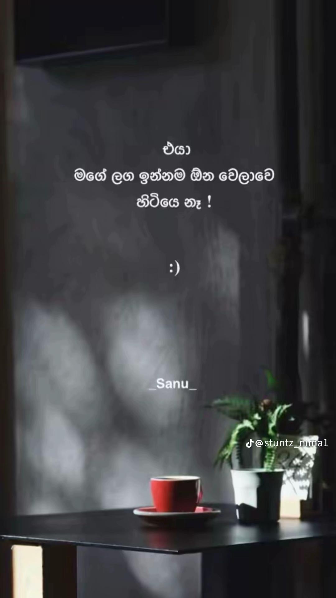 @👅පැලේ 💗🫀3/24 🫶❤️