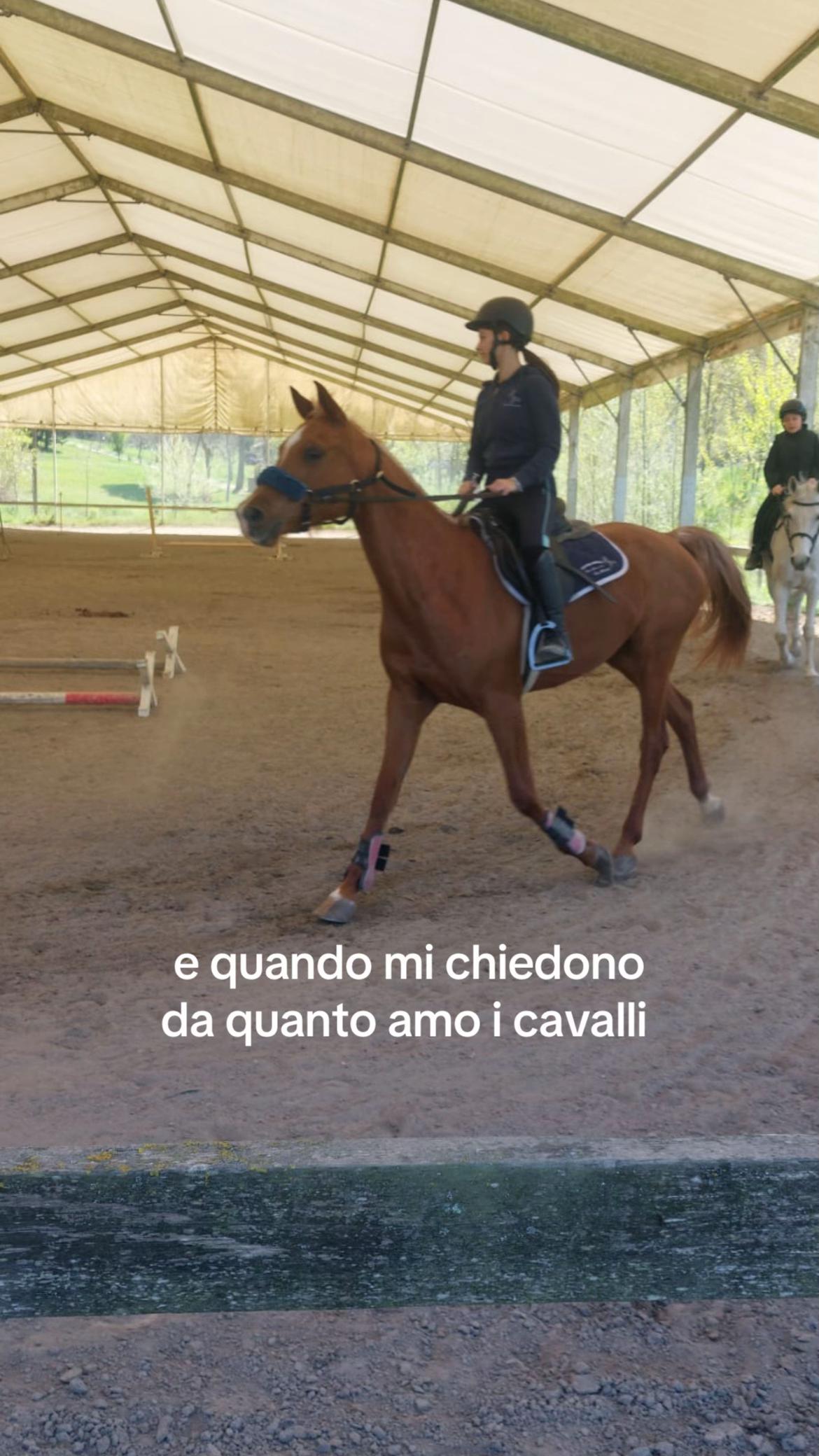 @giuliaaa