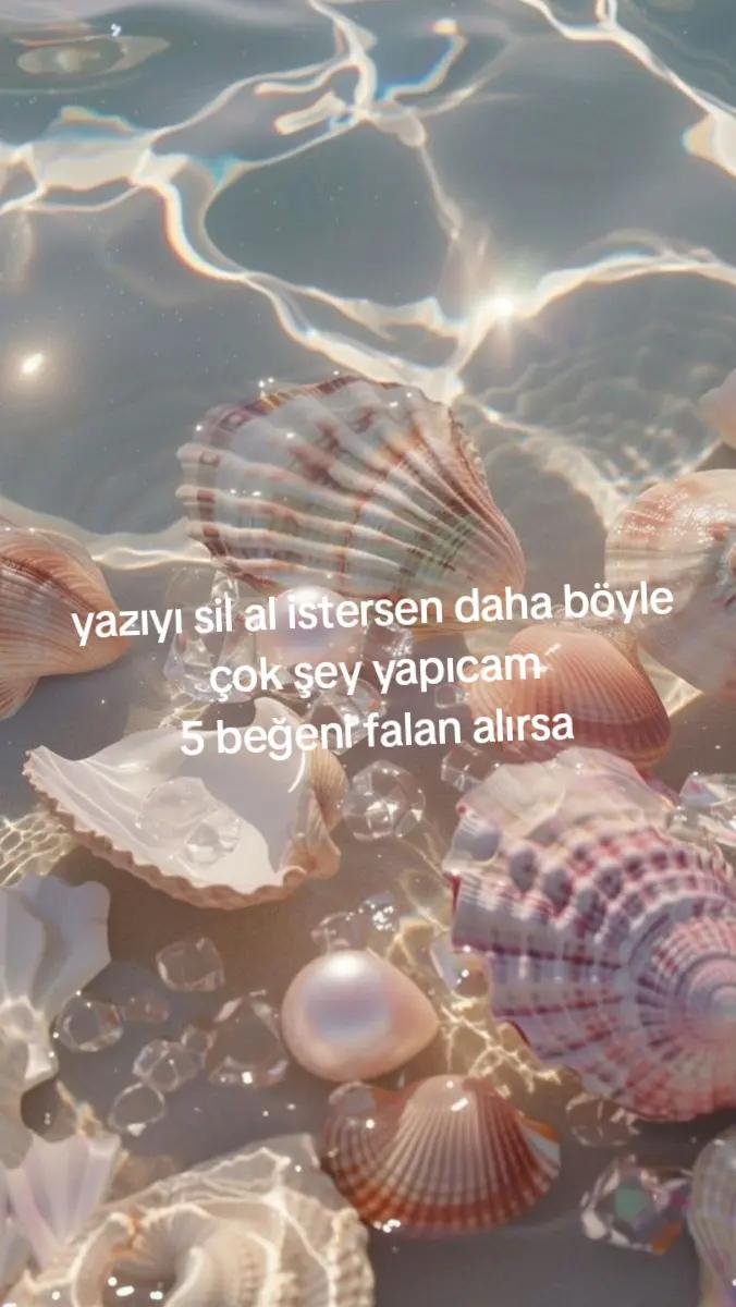 @defneymisim