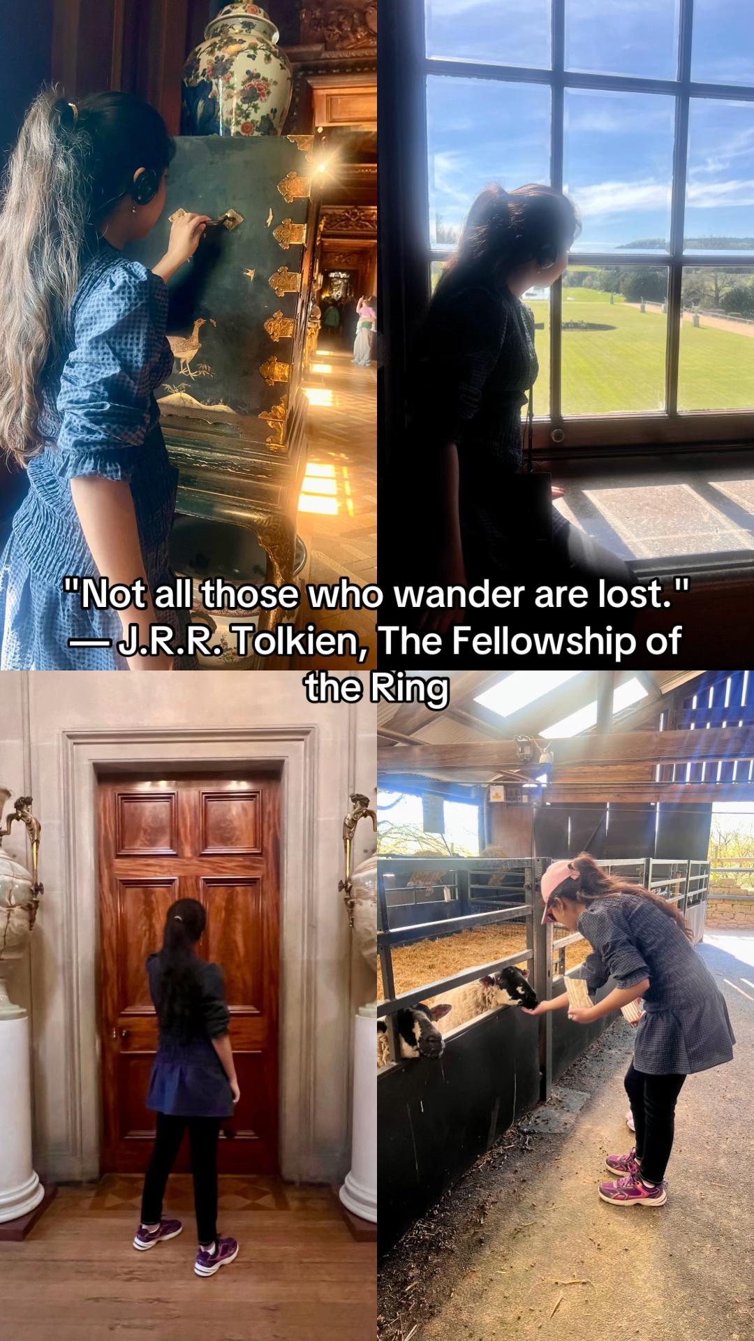 @Knightreader