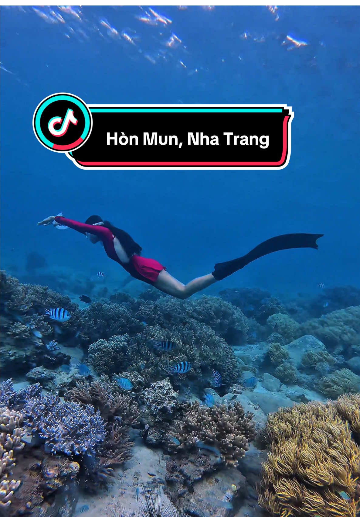 @Love Freediving Nha Trang