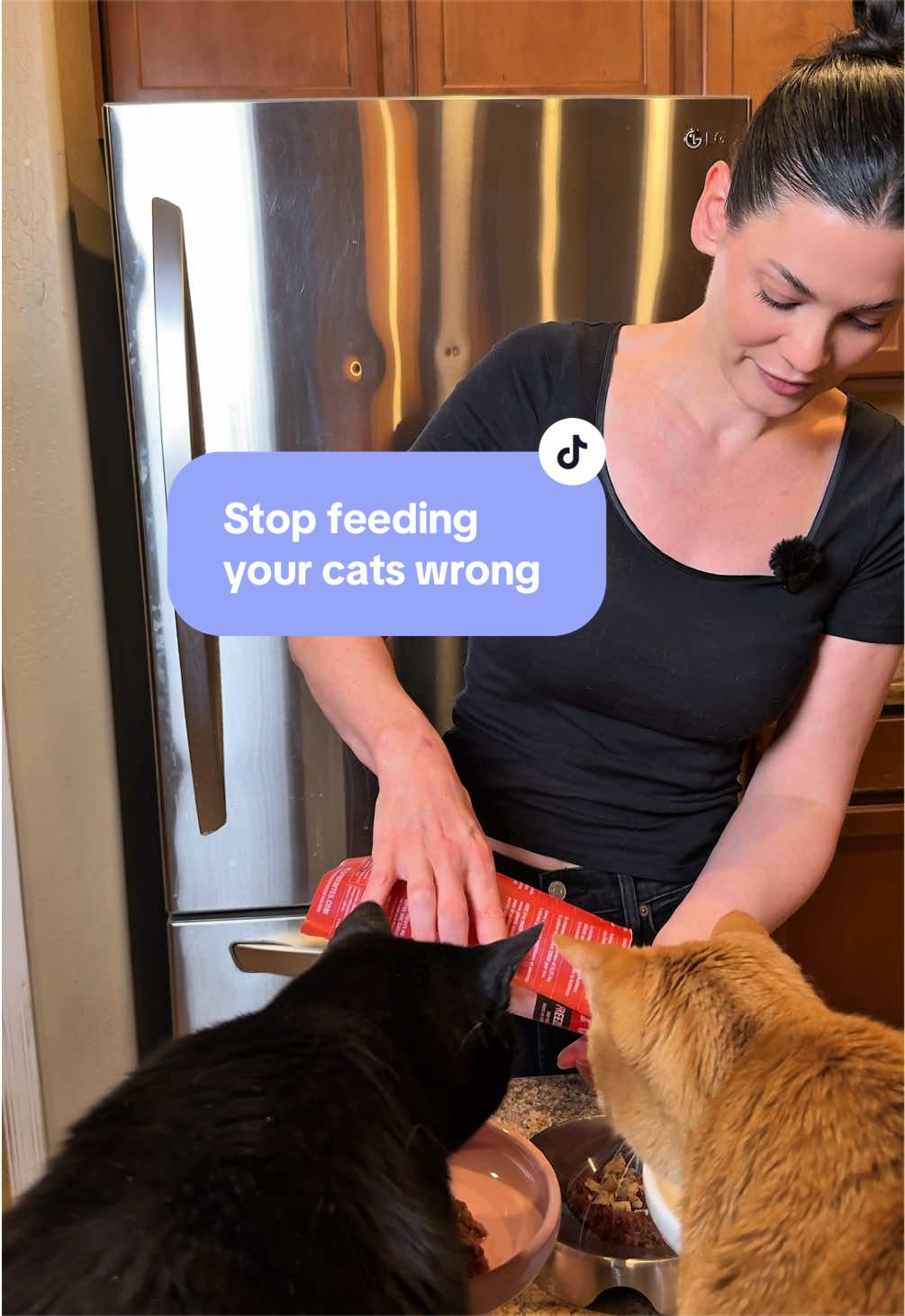 @Feminist Kitty | Cat Nutrition