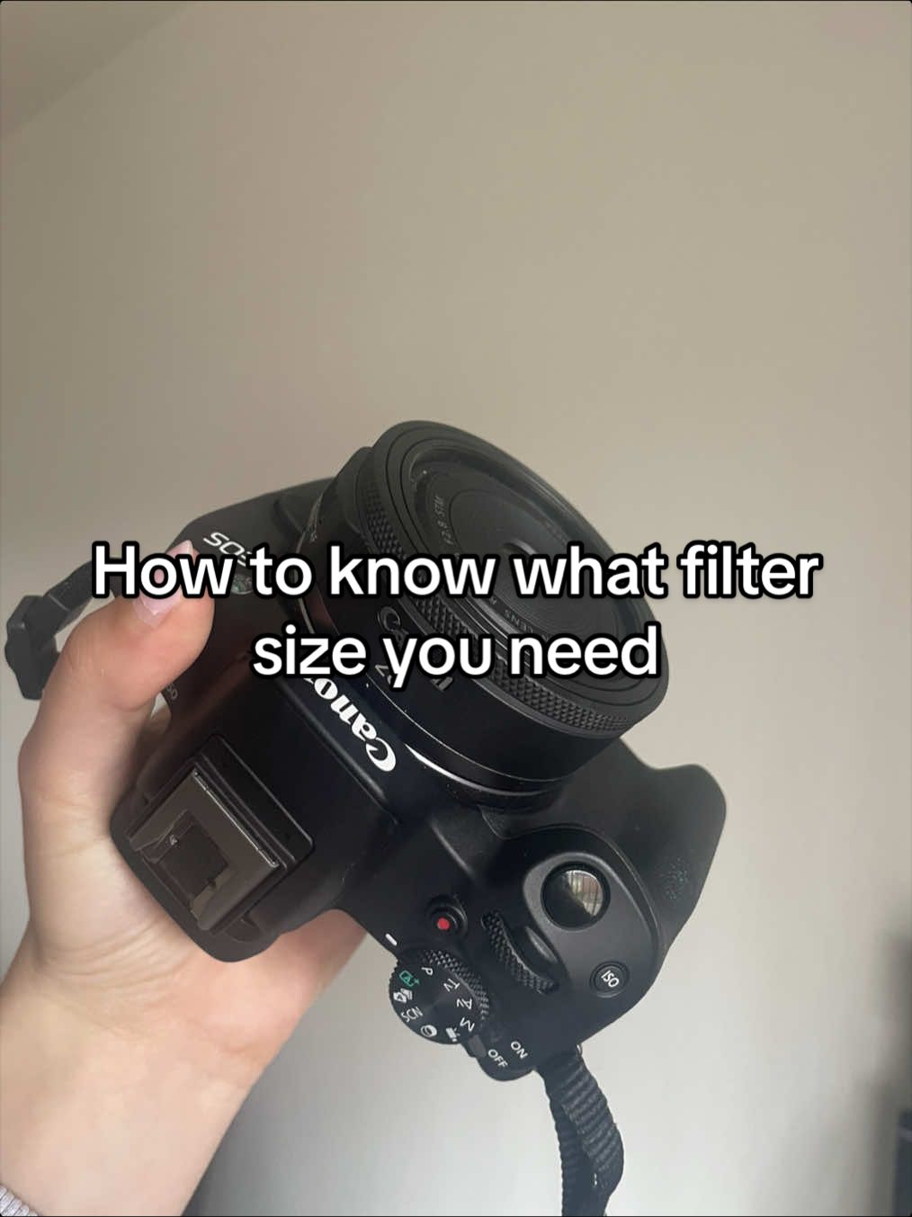 @Beginner Photog | Sophie