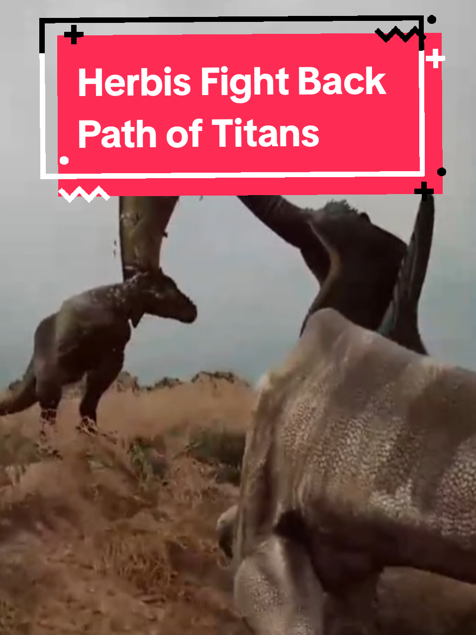 @Anti_Rhaye