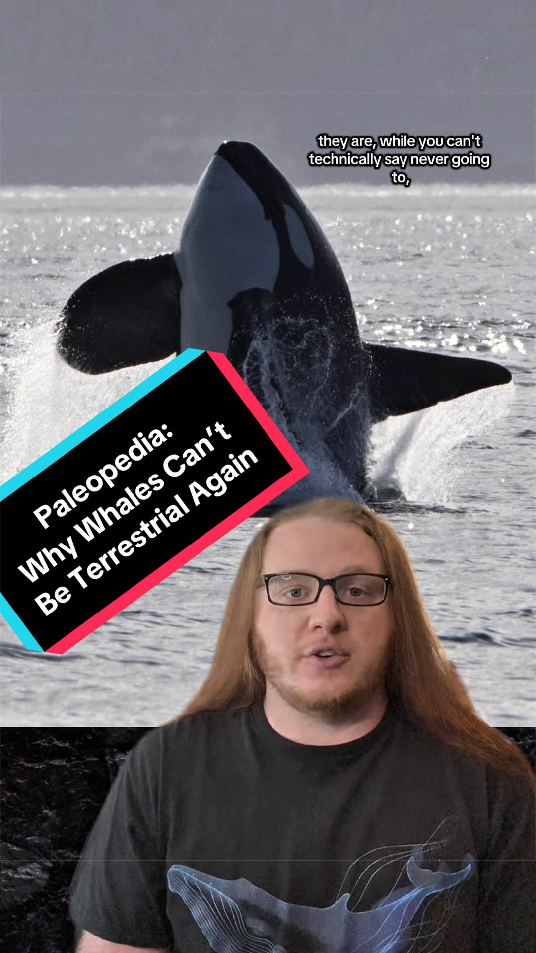 @Paleopedia
