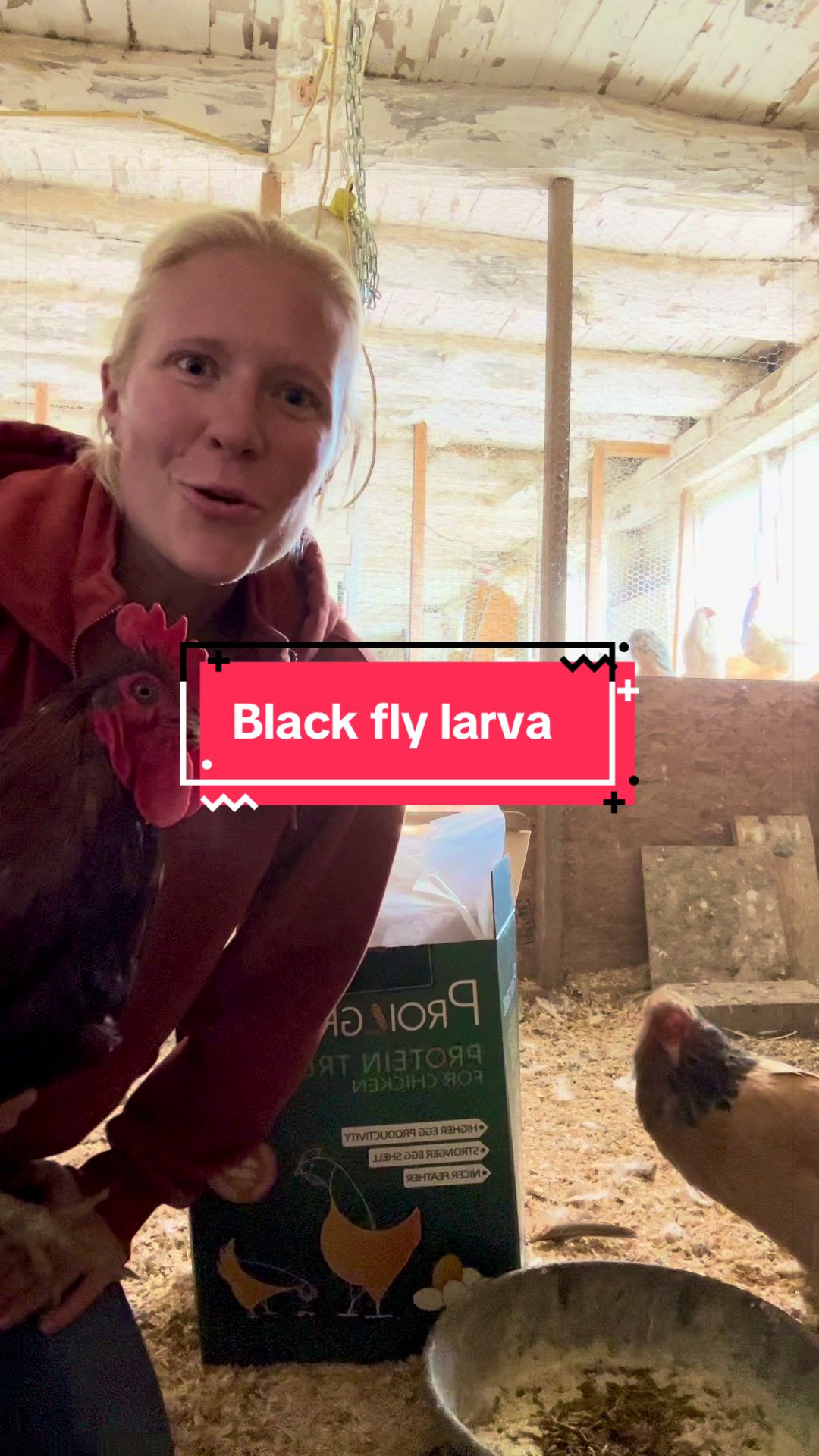 @littlesandycreekfarm
