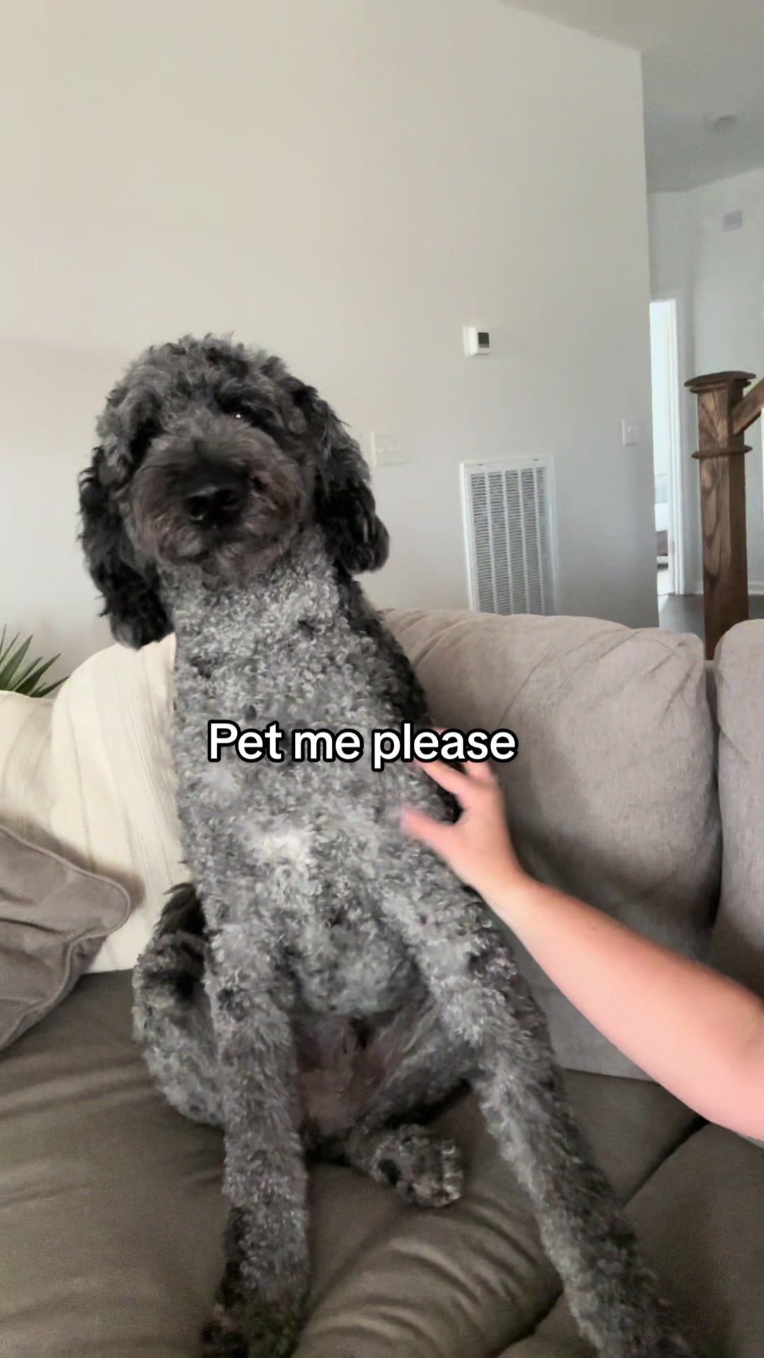 @Lauren
