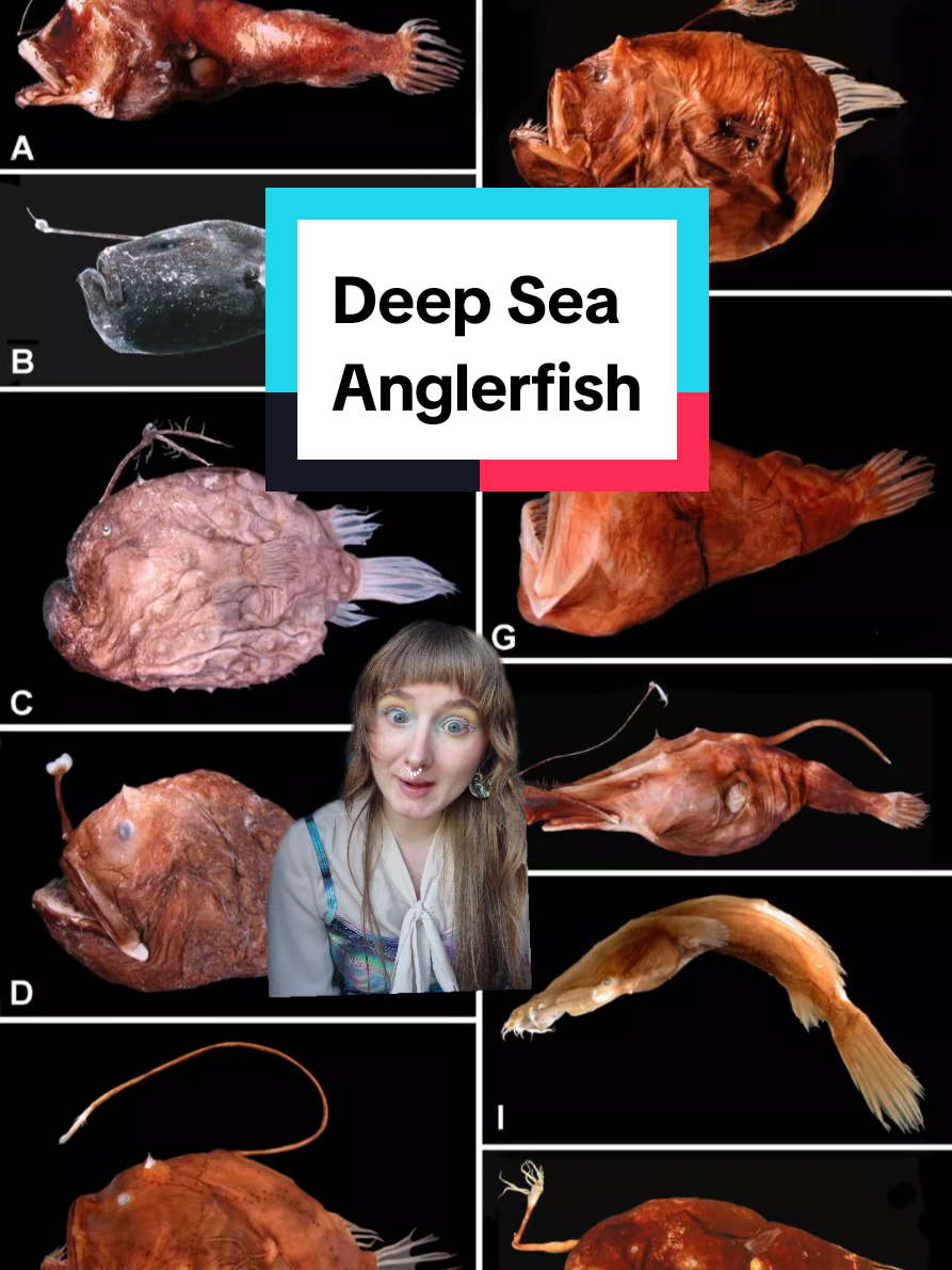 @Brooke Fitzwater, PhD