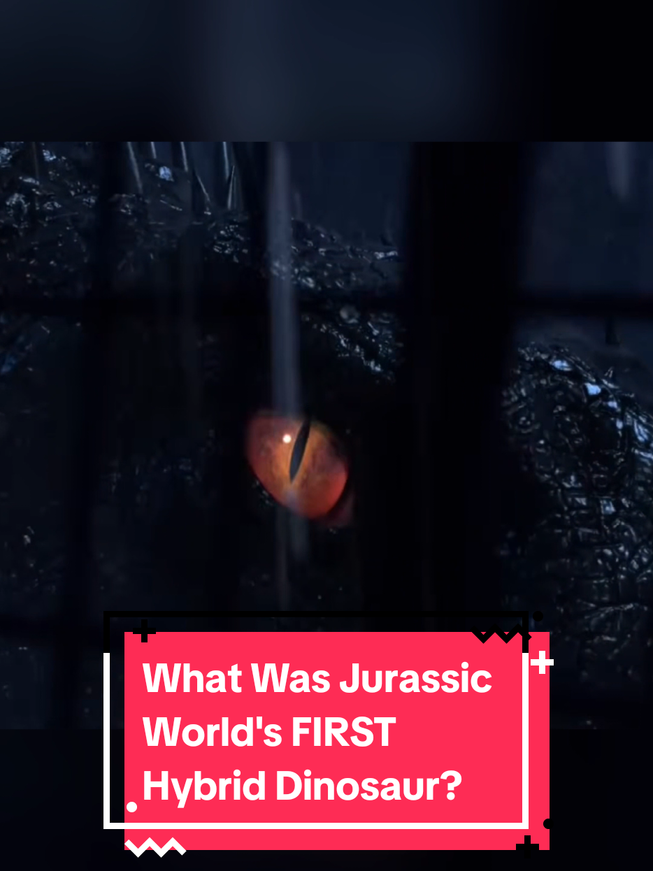 @The Dinosaur Man