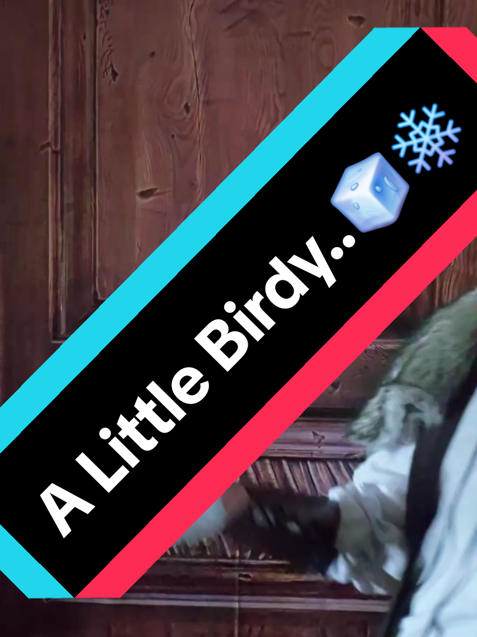 @T&yacute;r