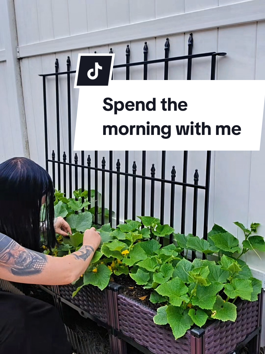 @Bridgette 🖤