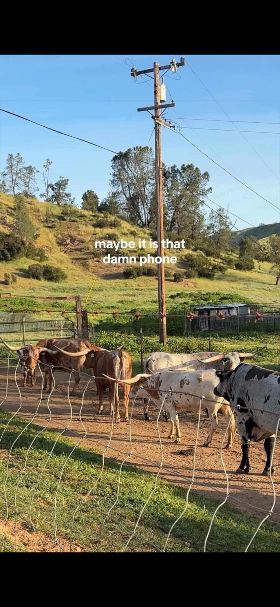 @rachel