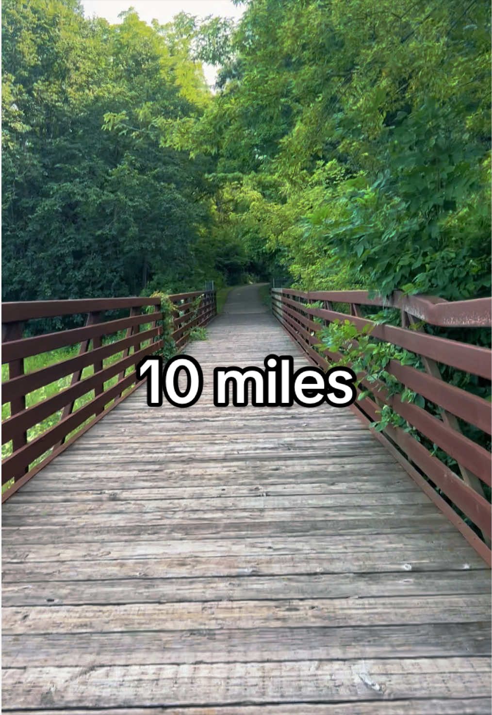 @Lauren | Runner & RD