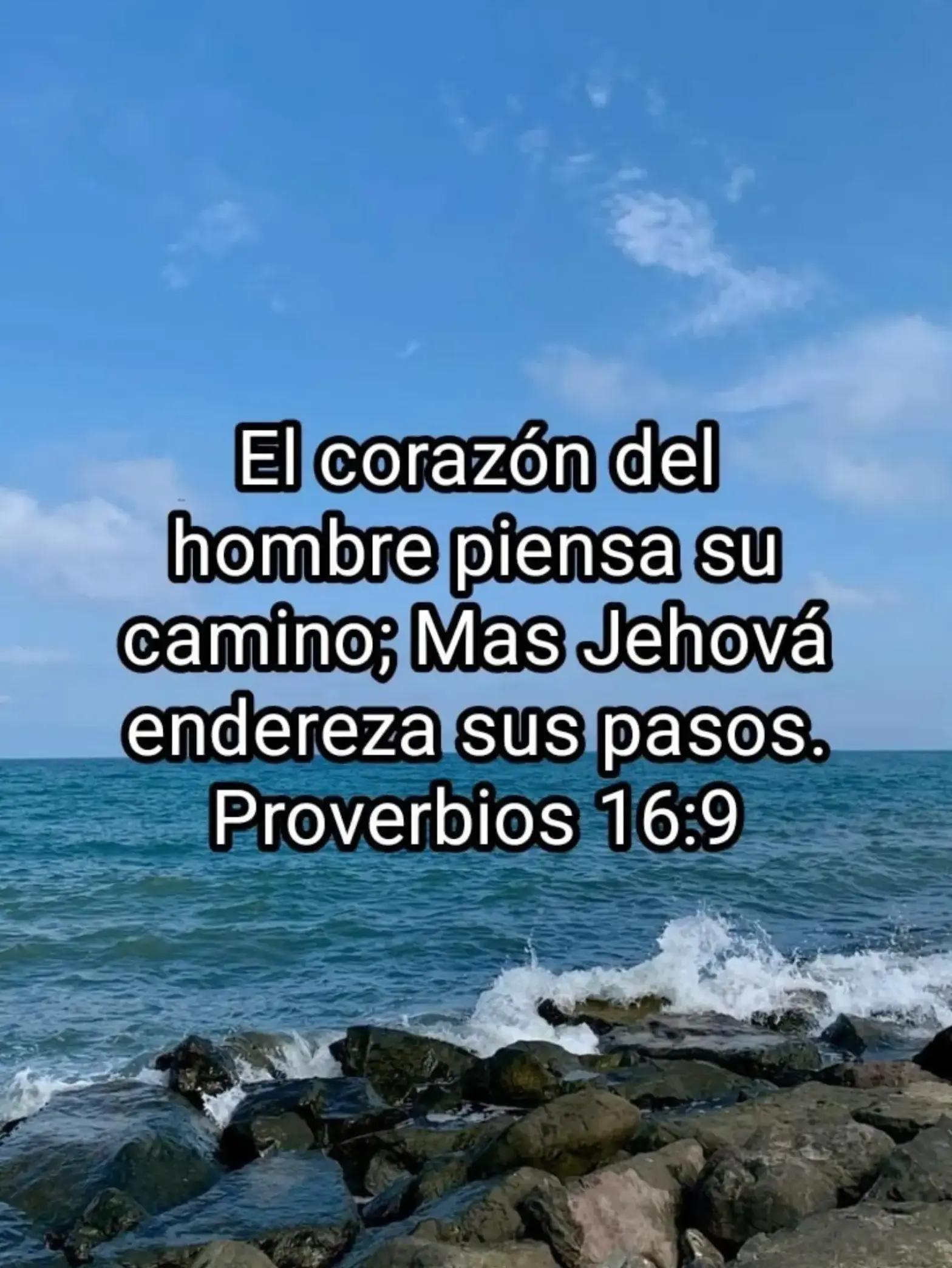 @Caro Camps Guzmán