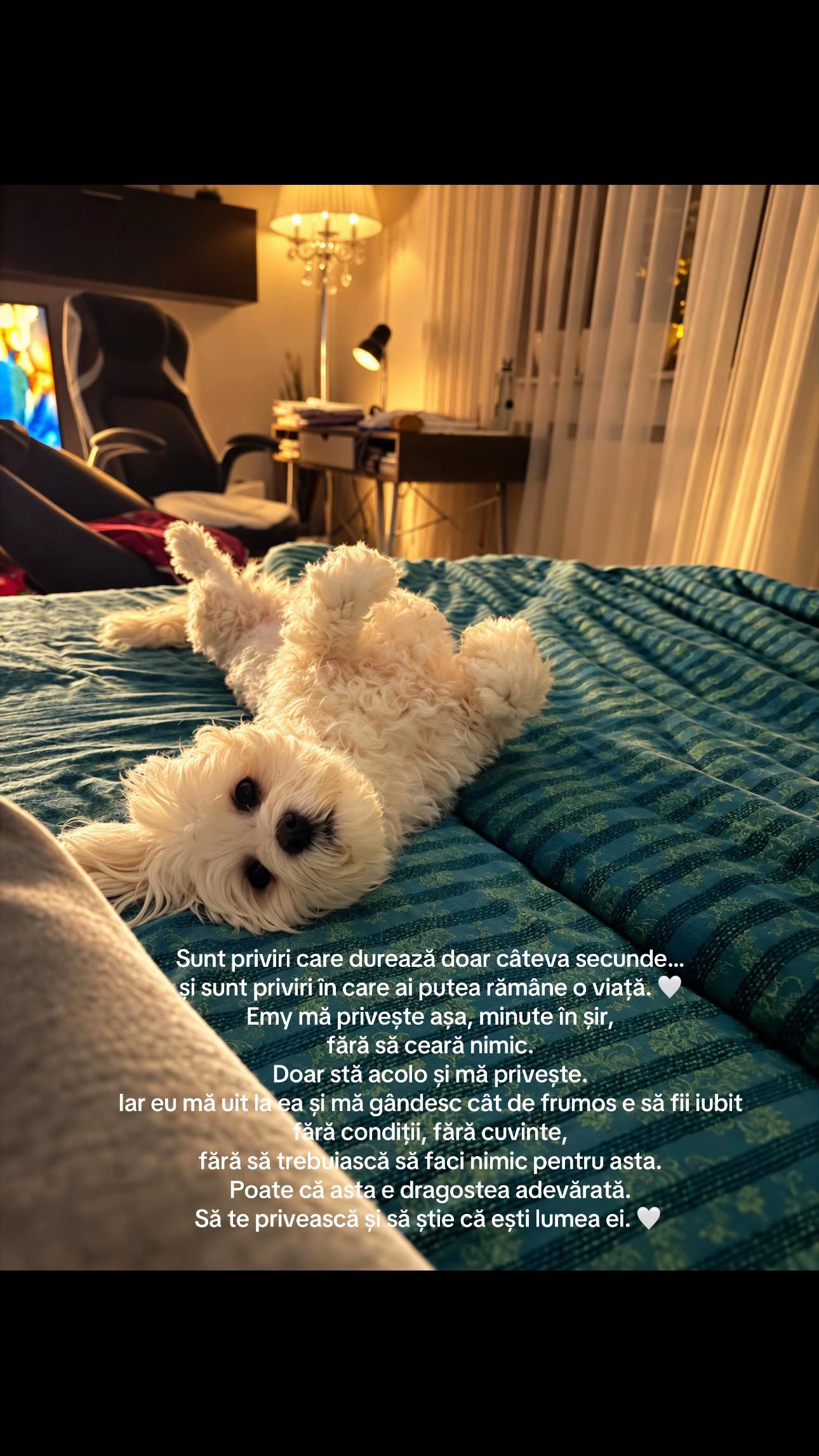 @Dr. Nicola Ioana