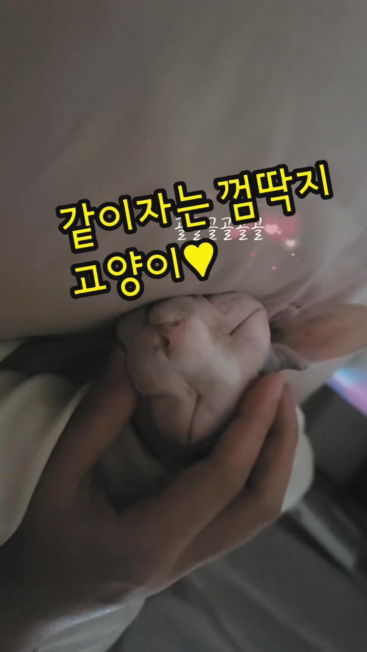 @짠주몬
